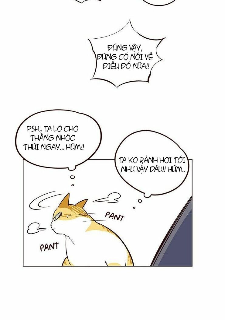 Hoá Thân Thành Mèo: Chapter 8