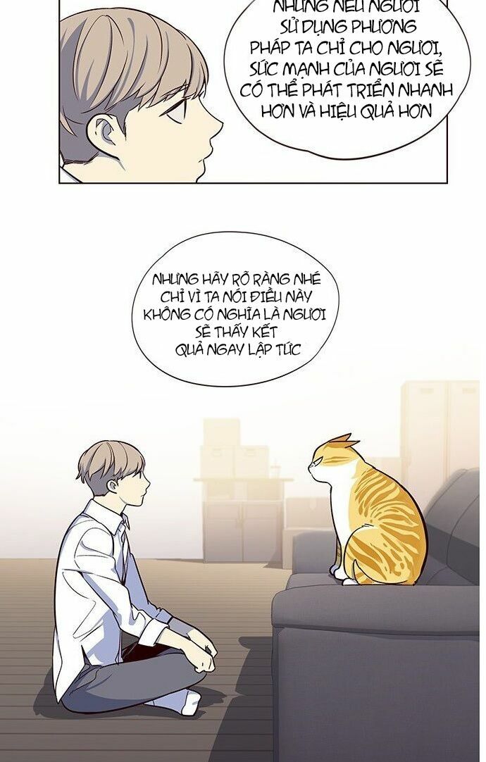 Hoá Thân Thành Mèo: Chapter 8