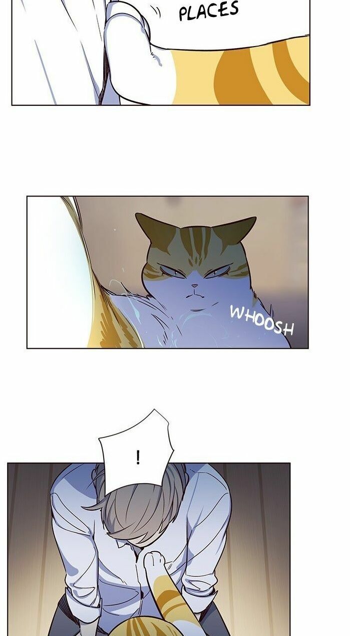 Hoá Thân Thành Mèo: Chapter 8