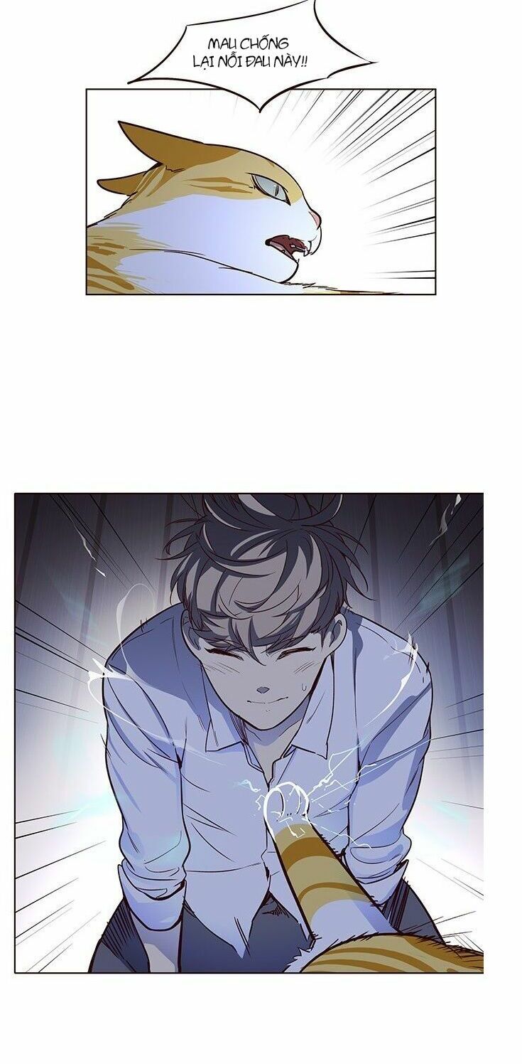 Hoá Thân Thành Mèo: Chapter 8