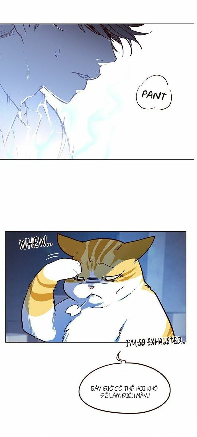Hoá Thân Thành Mèo: Chapter 8