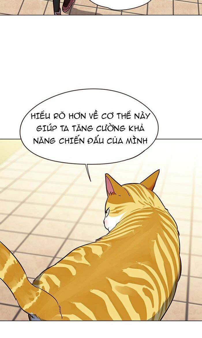 Hoá Thân Thành Mèo: Chapter 80