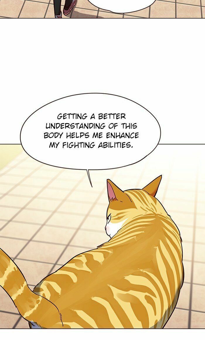 Hoá Thân Thành Mèo: Chapter 80