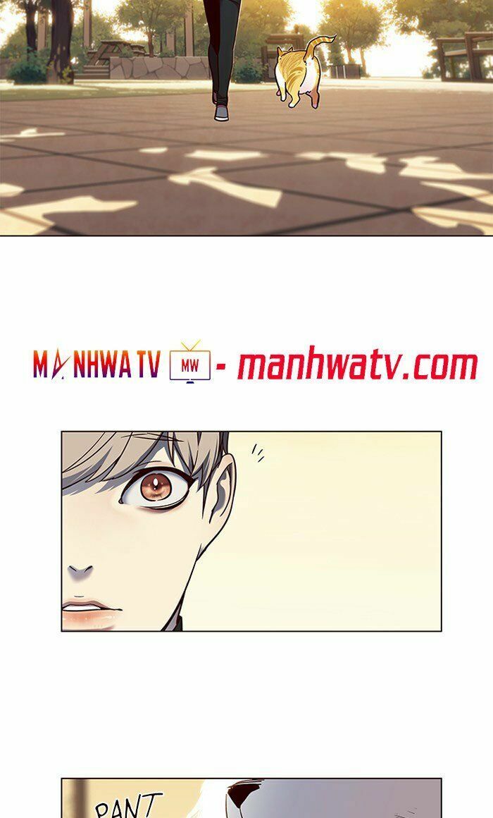 Hoá Thân Thành Mèo: Chapter 80