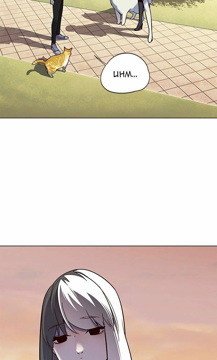 Hoá Thân Thành Mèo: Chapter 80
