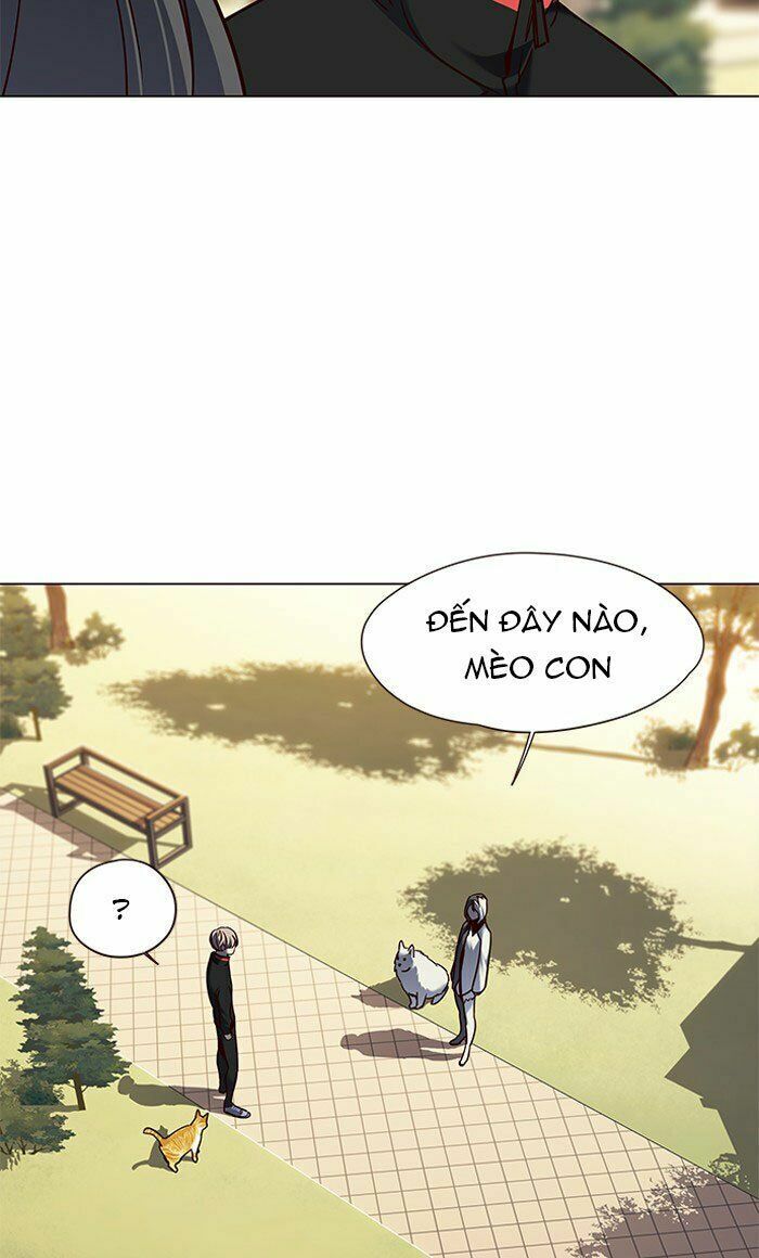 Hoá Thân Thành Mèo: Chapter 80