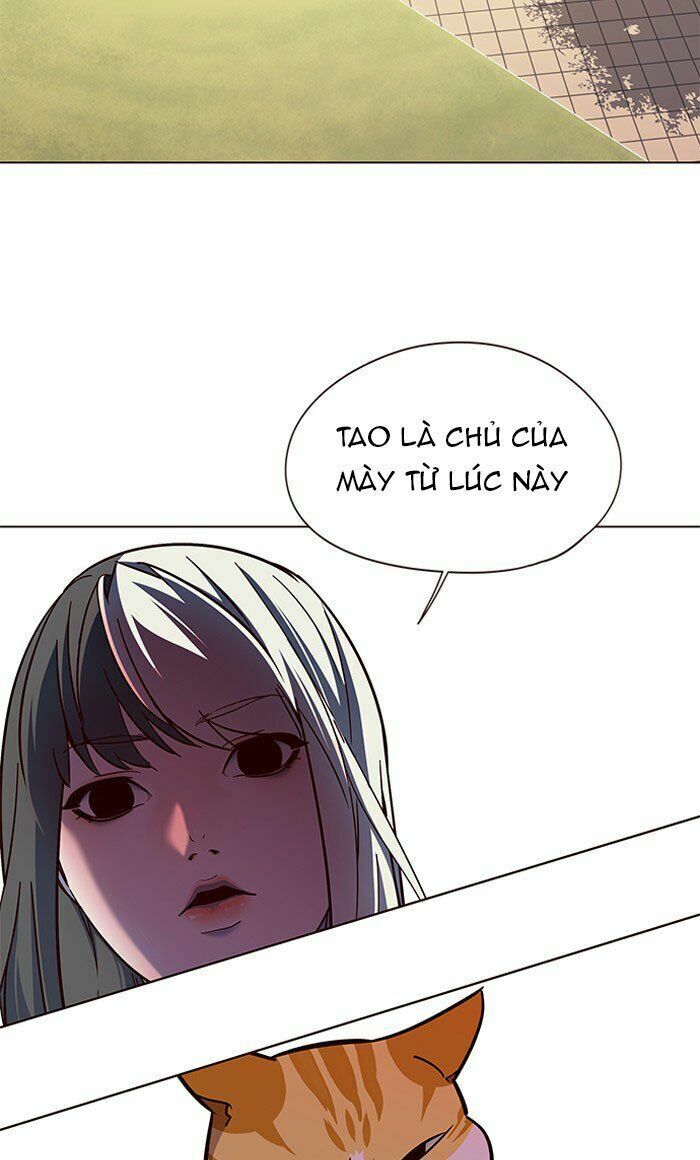 Hoá Thân Thành Mèo: Chapter 80