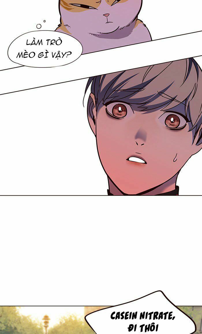 Hoá Thân Thành Mèo: Chapter 80