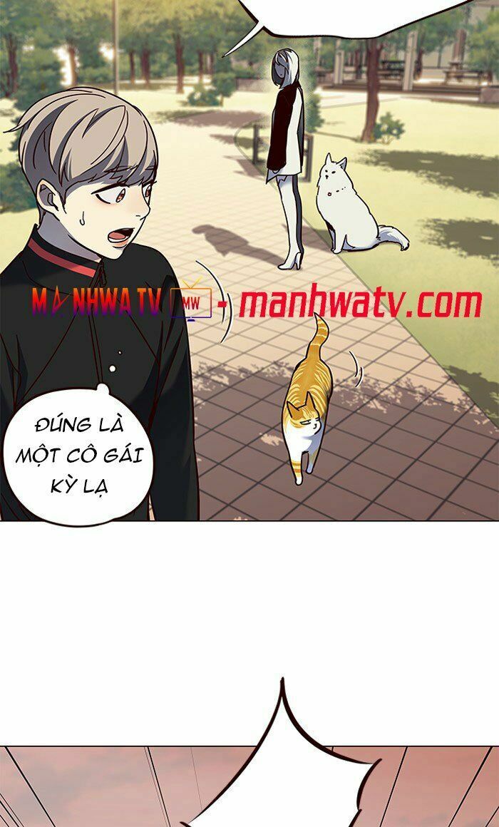 Hoá Thân Thành Mèo: Chapter 80