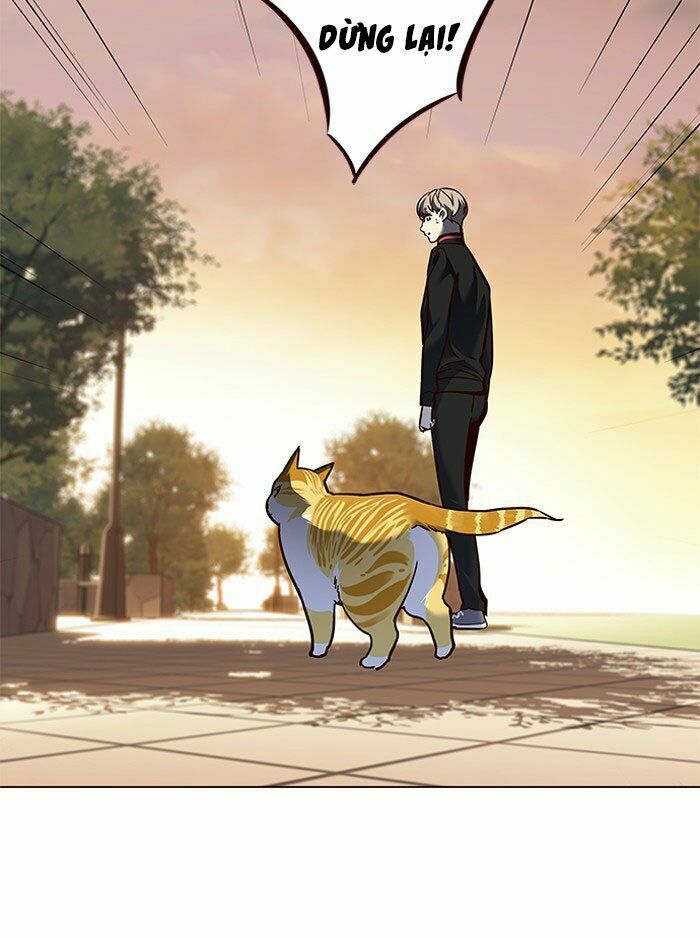 Hoá Thân Thành Mèo: Chapter 80