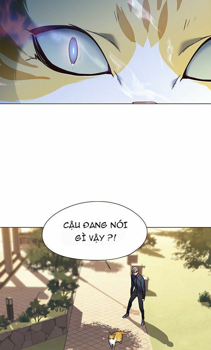 Hoá Thân Thành Mèo: Chapter 80
