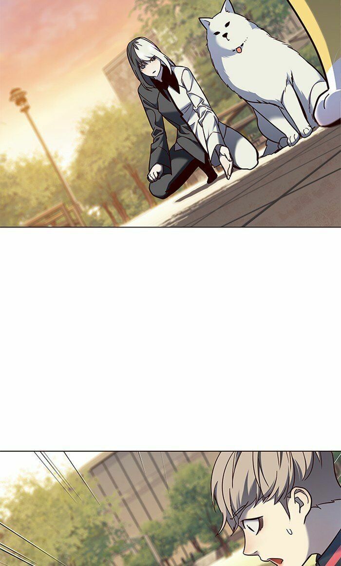 Hoá Thân Thành Mèo: Chapter 80