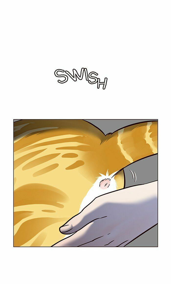 Hoá Thân Thành Mèo: Chapter 80
