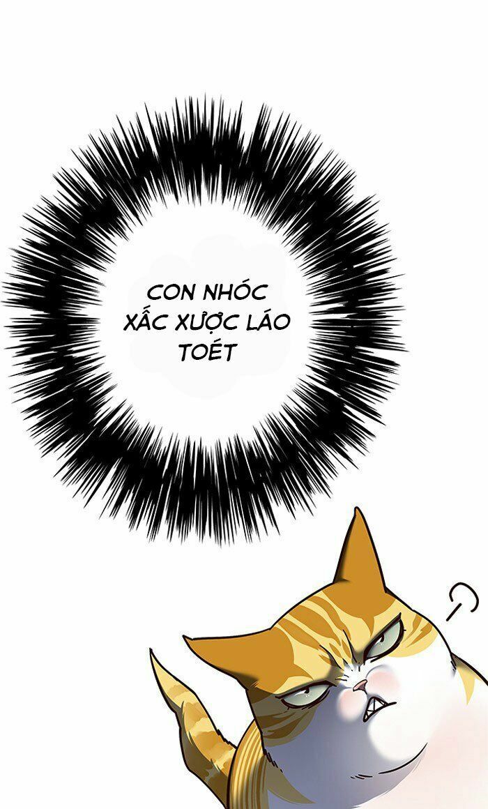 Hoá Thân Thành Mèo: Chapter 80
