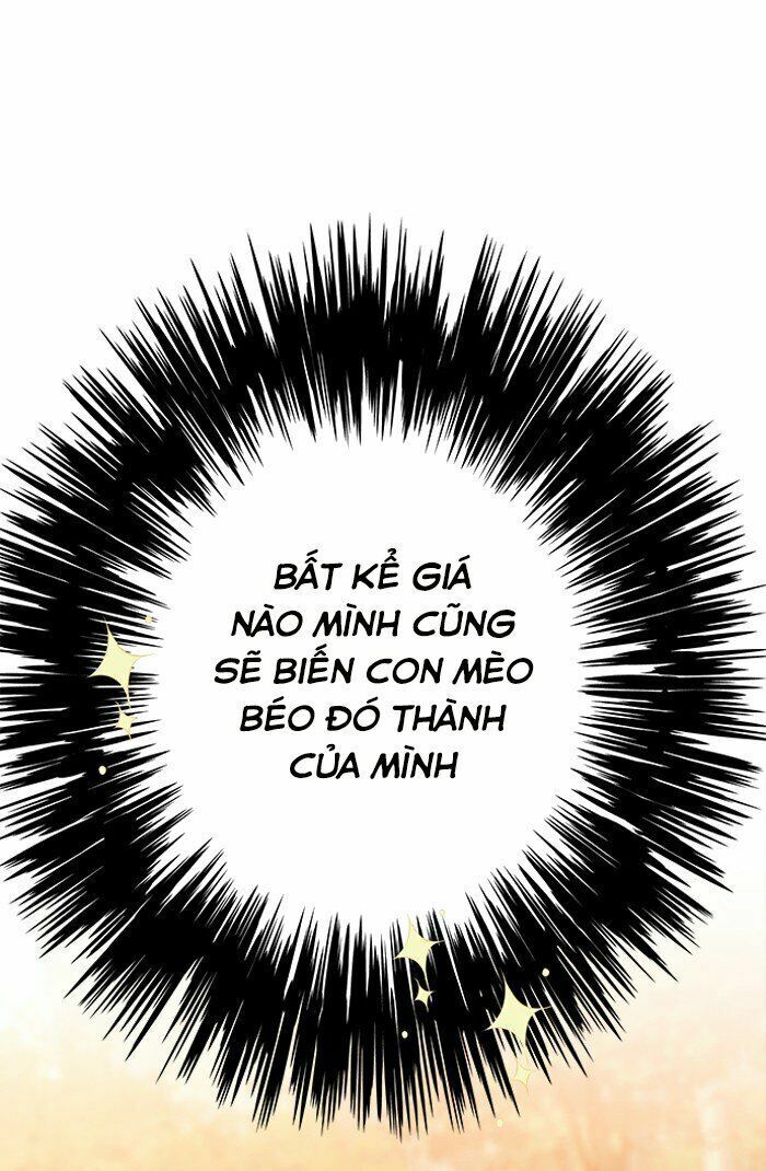 Hoá Thân Thành Mèo: Chapter 81
