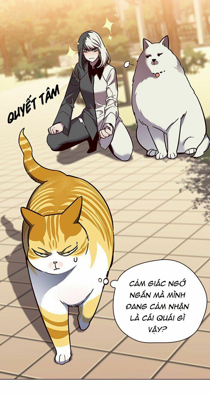 Hoá Thân Thành Mèo: Chapter 81