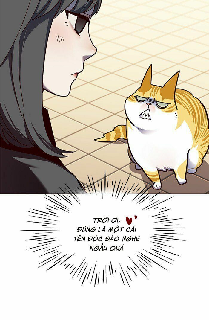 Hoá Thân Thành Mèo: Chapter 81