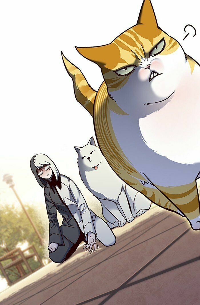 Hoá Thân Thành Mèo: Chapter 81