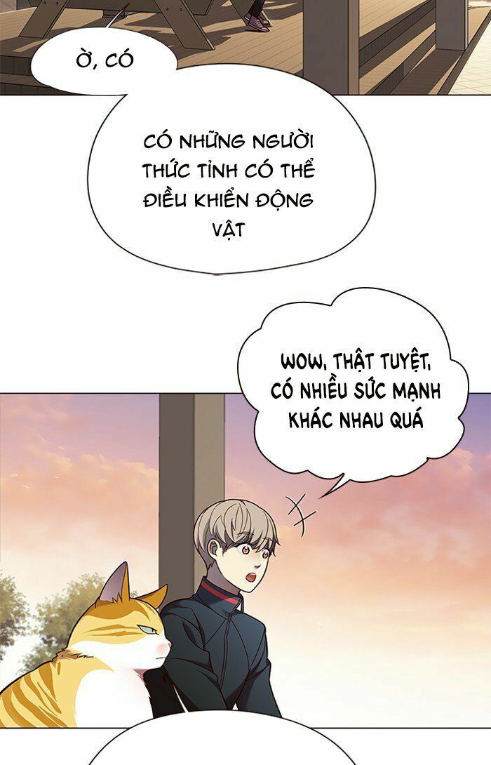 Hoá Thân Thành Mèo: Chapter 81