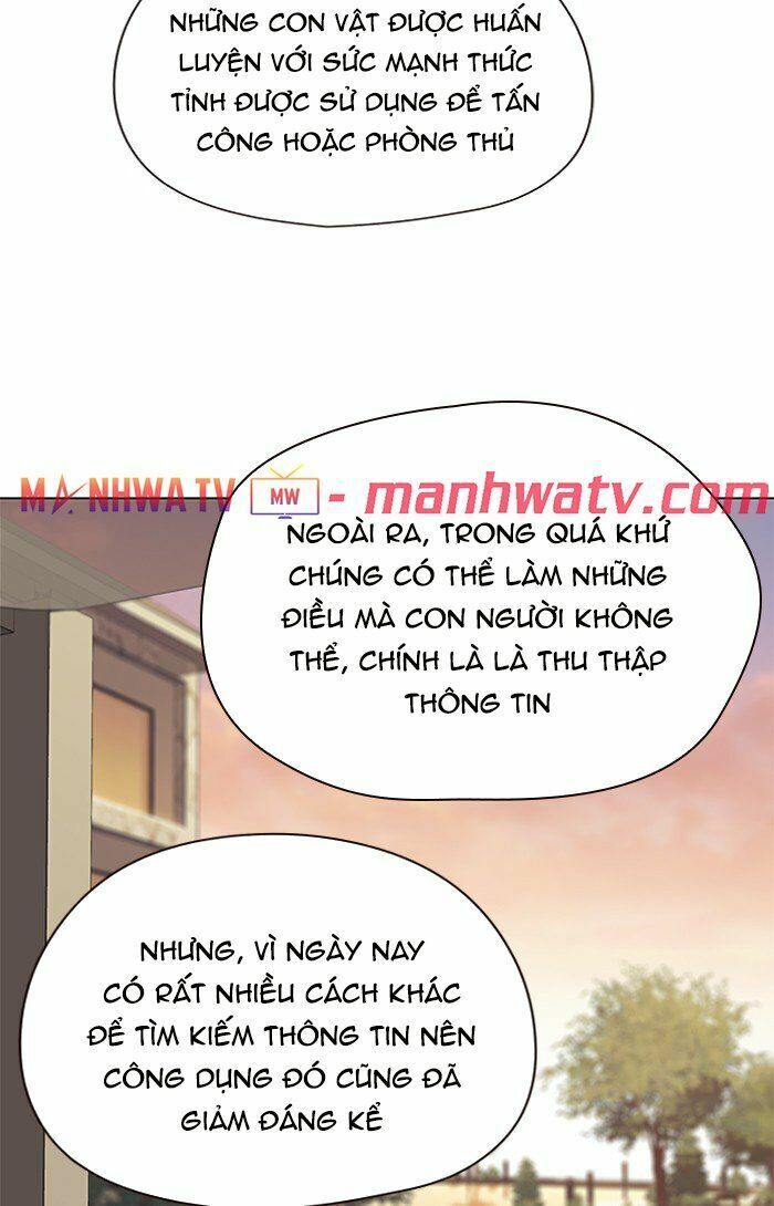 Hoá Thân Thành Mèo: Chapter 81