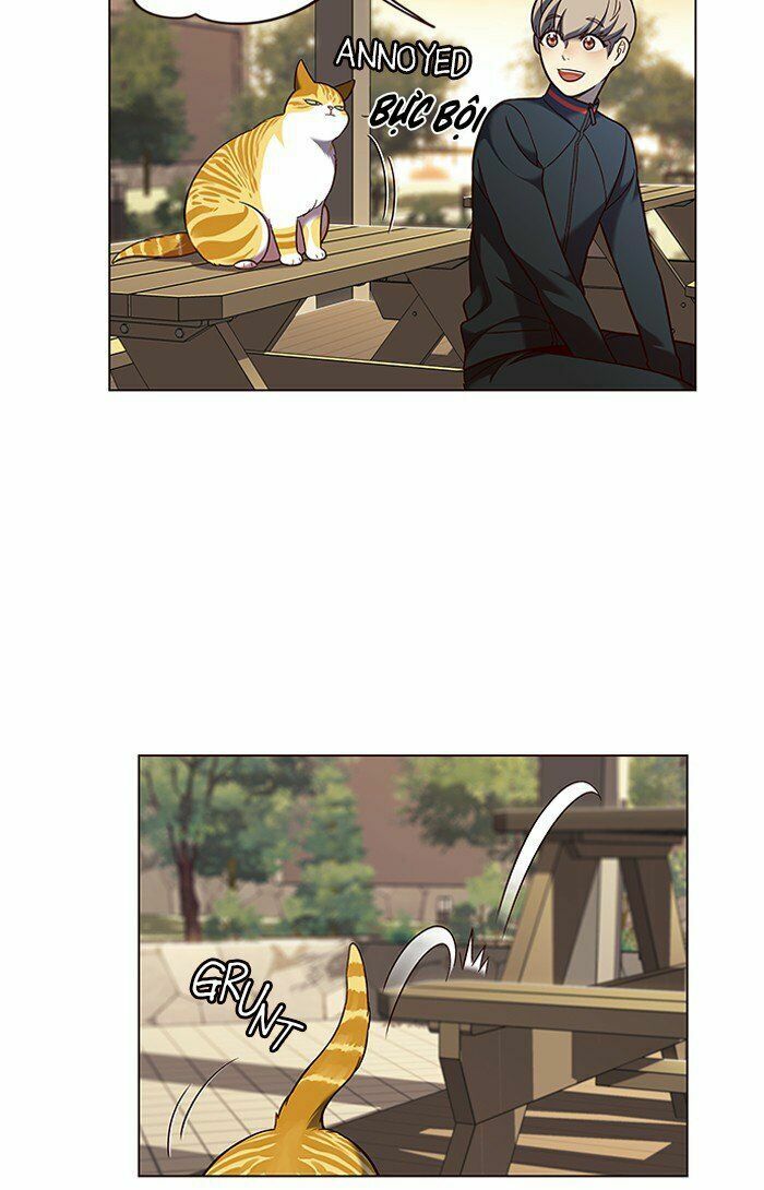 Hoá Thân Thành Mèo: Chapter 81