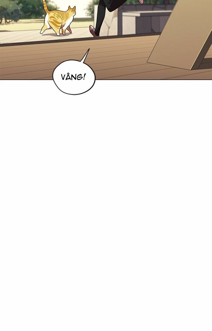 Hoá Thân Thành Mèo: Chapter 81