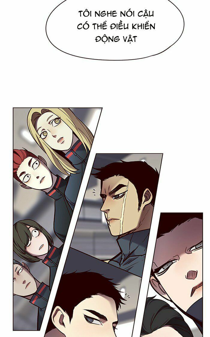 Hoá Thân Thành Mèo: Chapter 81
