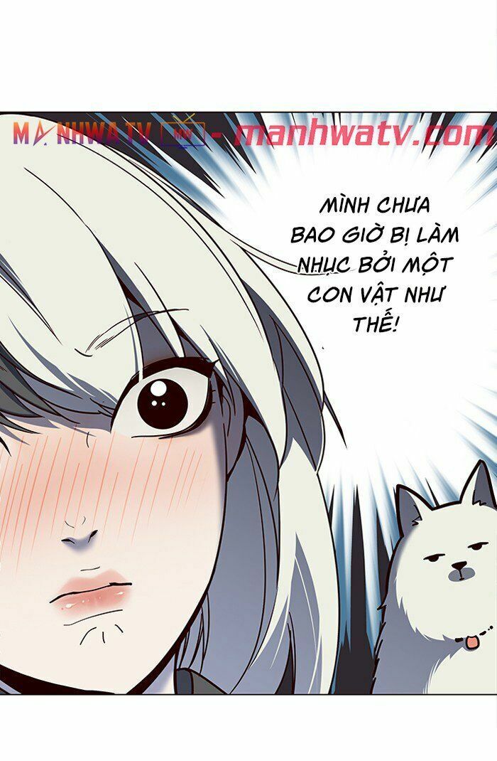 Hoá Thân Thành Mèo: Chapter 81