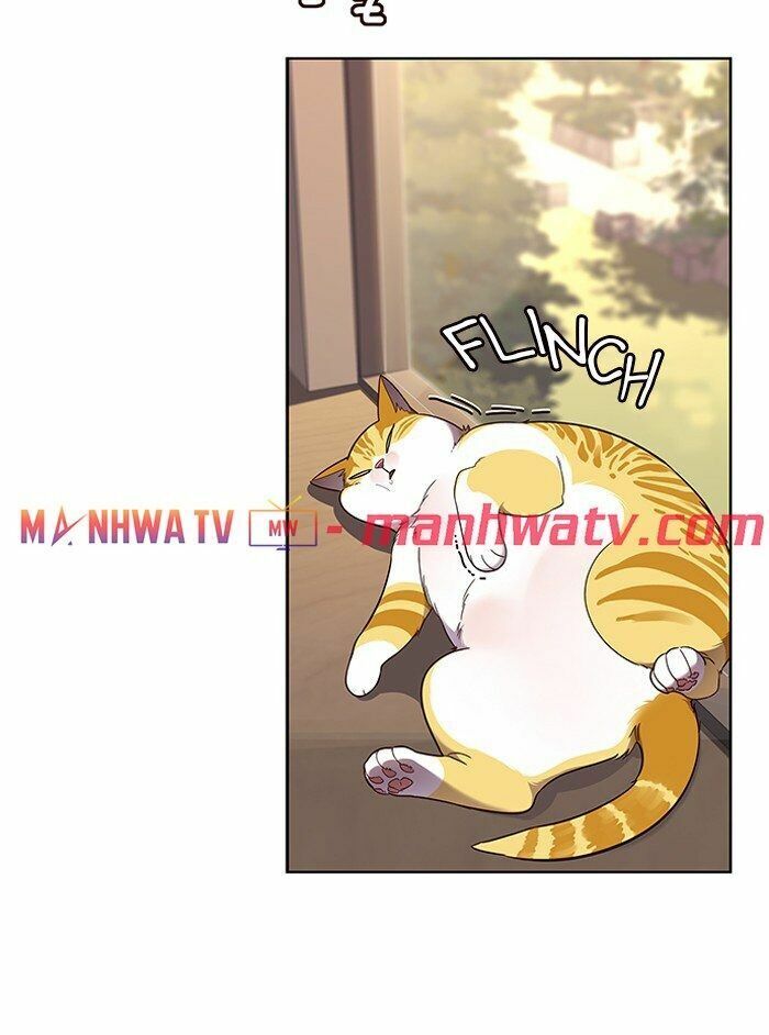 Hoá Thân Thành Mèo: Chapter 81