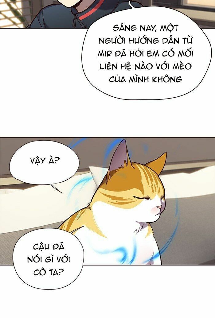 Hoá Thân Thành Mèo: Chapter 82