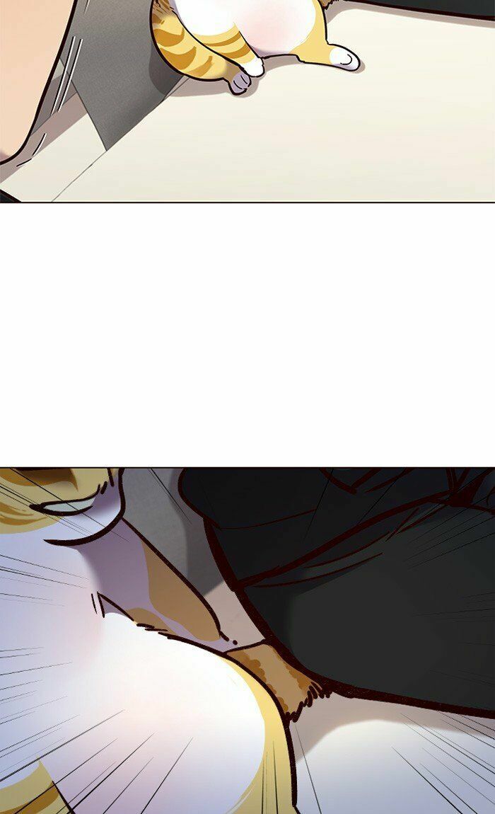 Hoá Thân Thành Mèo: Chapter 82