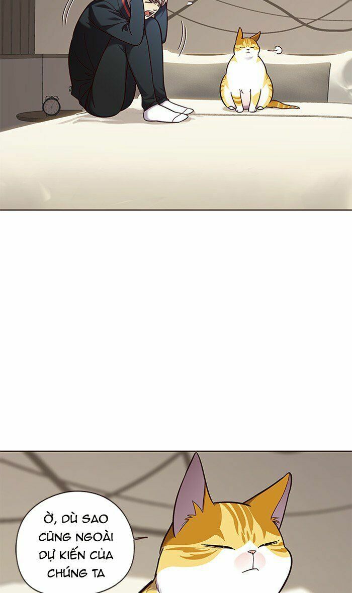 Hoá Thân Thành Mèo: Chapter 82