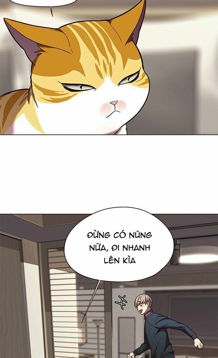 Hoá Thân Thành Mèo: Chapter 82
