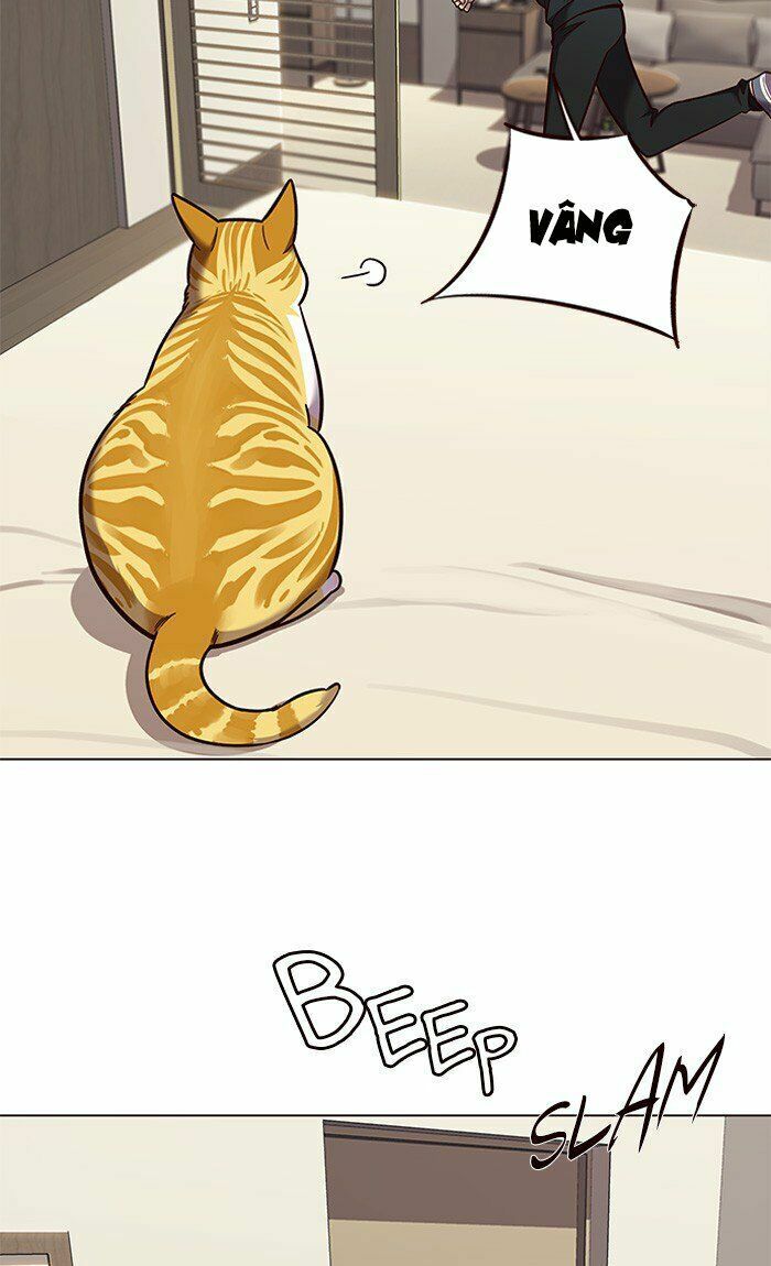 Hoá Thân Thành Mèo: Chapter 82