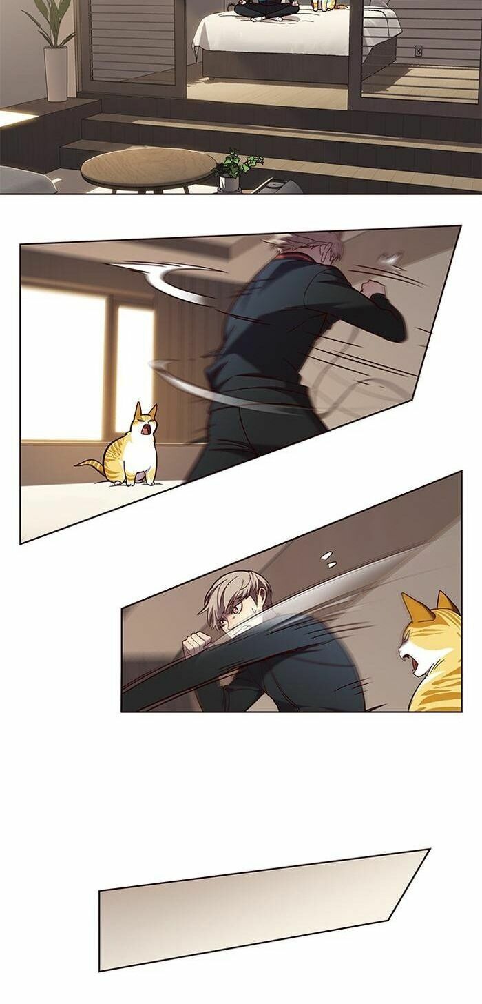 Hoá Thân Thành Mèo: Chapter 83