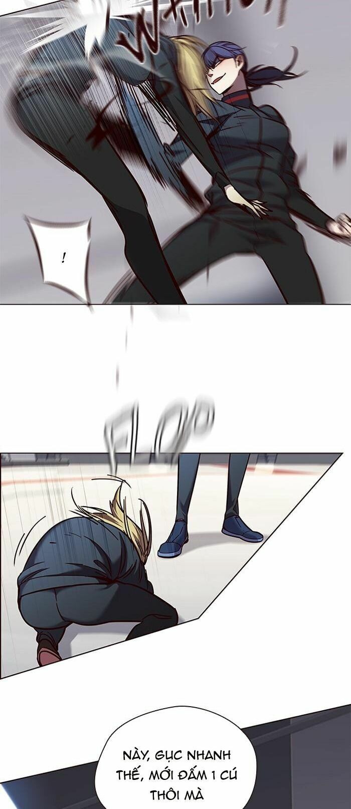 Hoá Thân Thành Mèo: Chapter 84