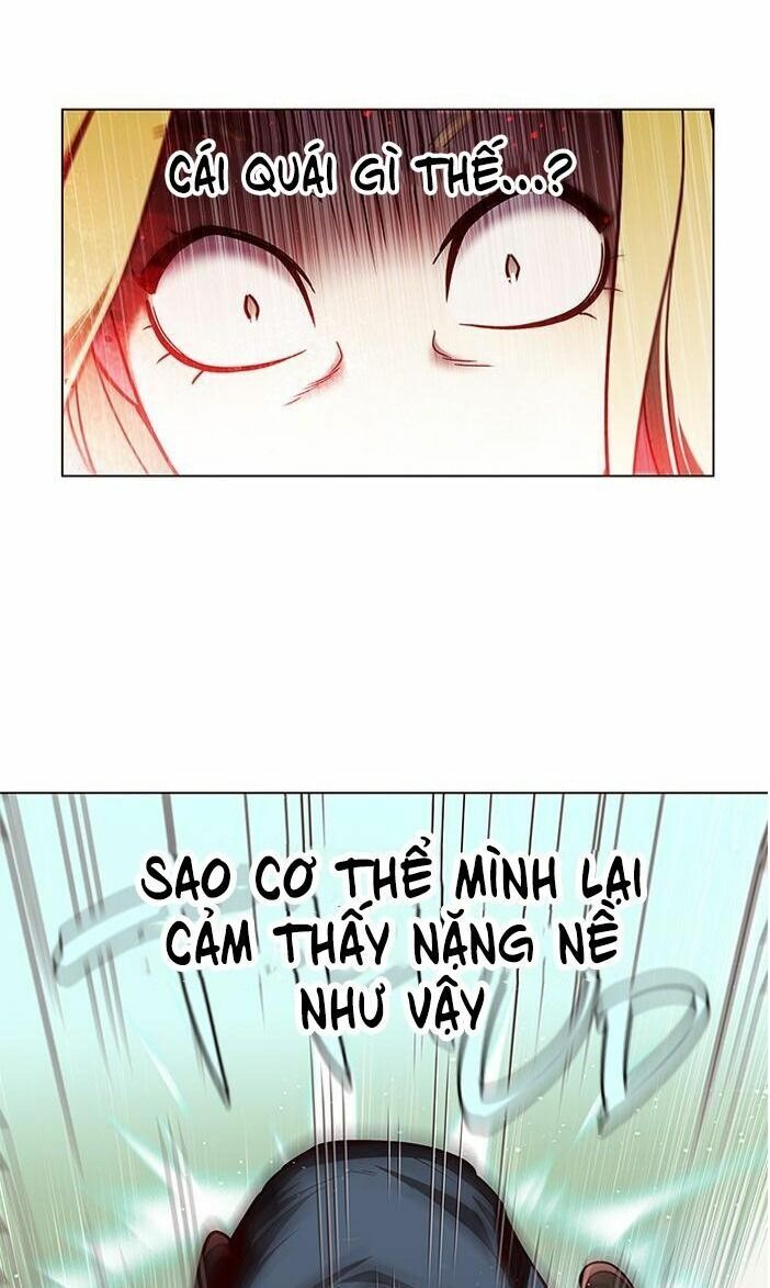 Hoá Thân Thành Mèo: Chapter 84