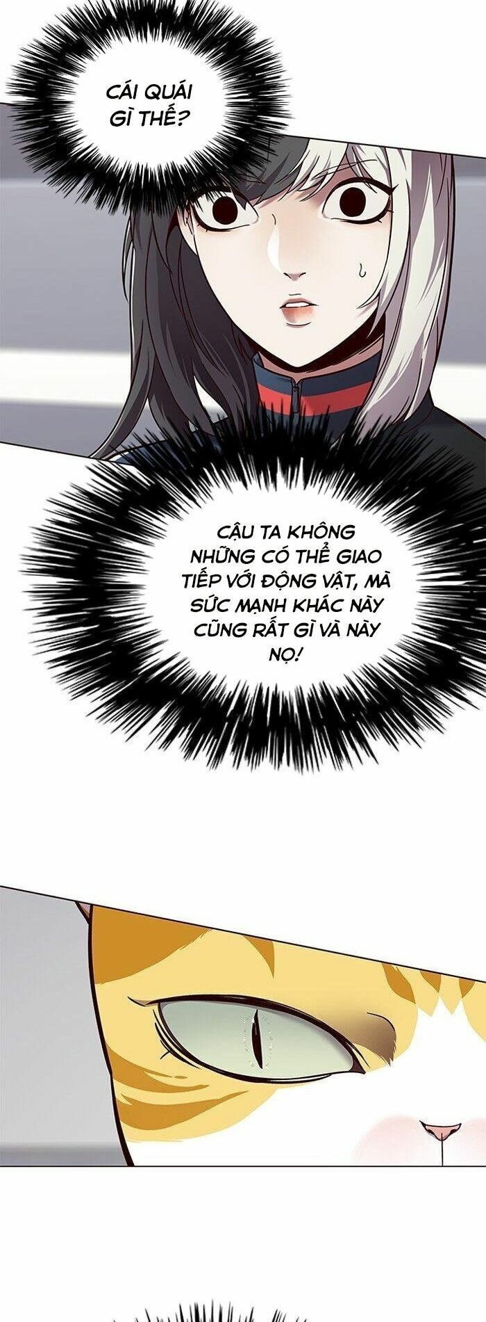 Hoá Thân Thành Mèo: Chapter 87