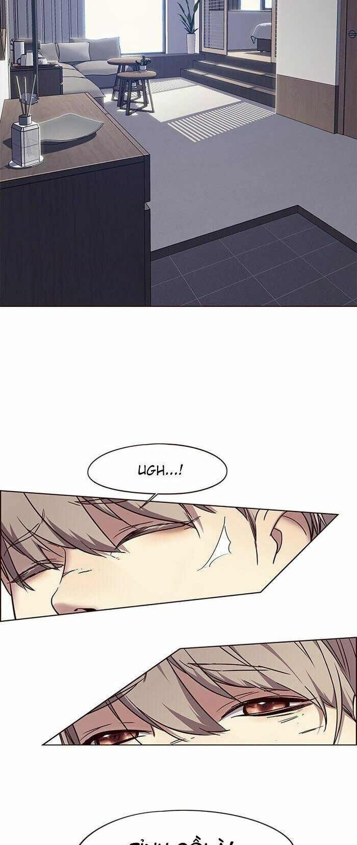 Hoá Thân Thành Mèo: Chapter 88