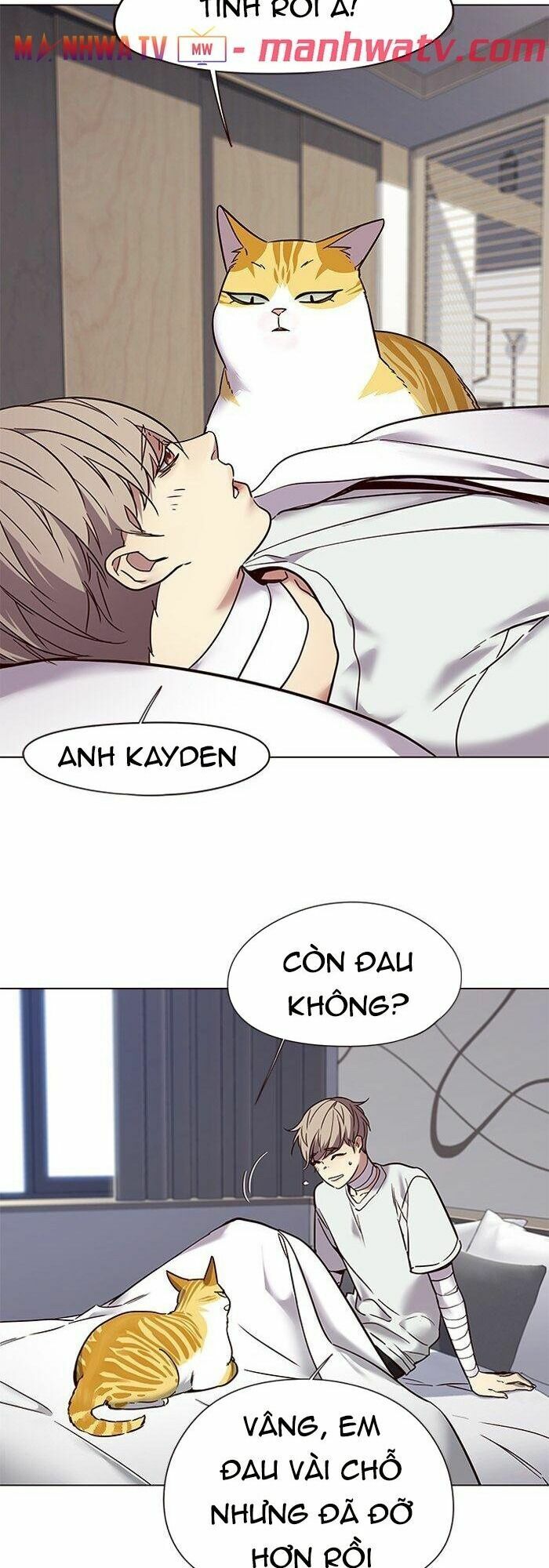 Hoá Thân Thành Mèo: Chapter 88