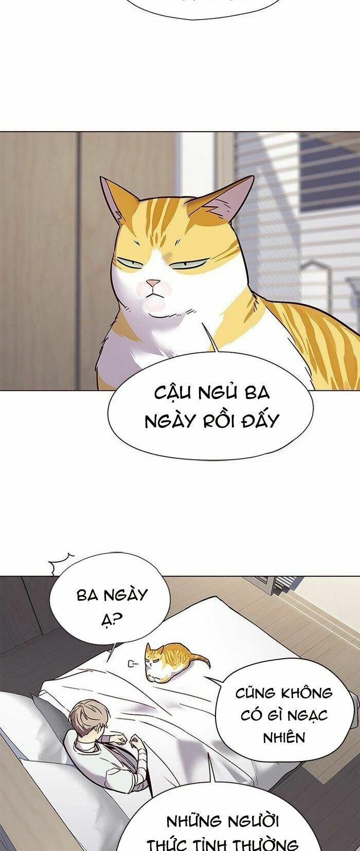 Hoá Thân Thành Mèo: Chapter 88