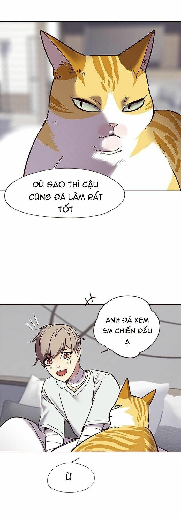 Hoá Thân Thành Mèo: Chapter 88
