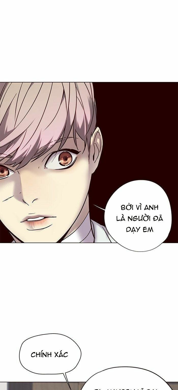 Hoá Thân Thành Mèo: Chapter 88
