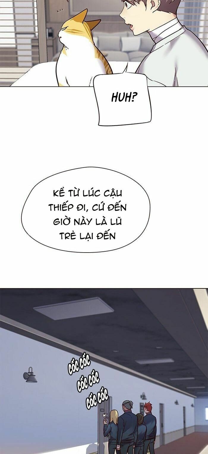 Hoá Thân Thành Mèo: Chapter 88