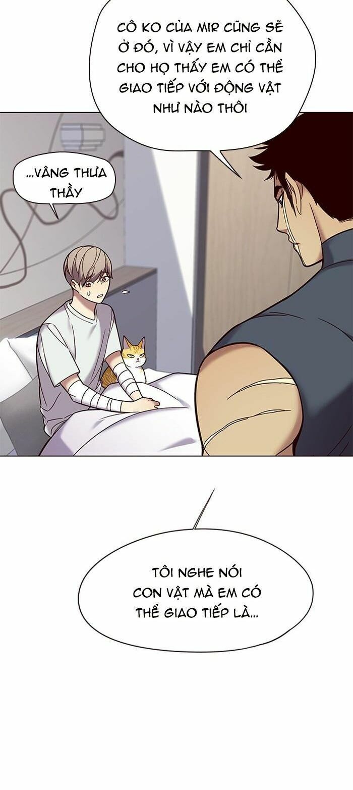 Hoá Thân Thành Mèo: Chapter 89