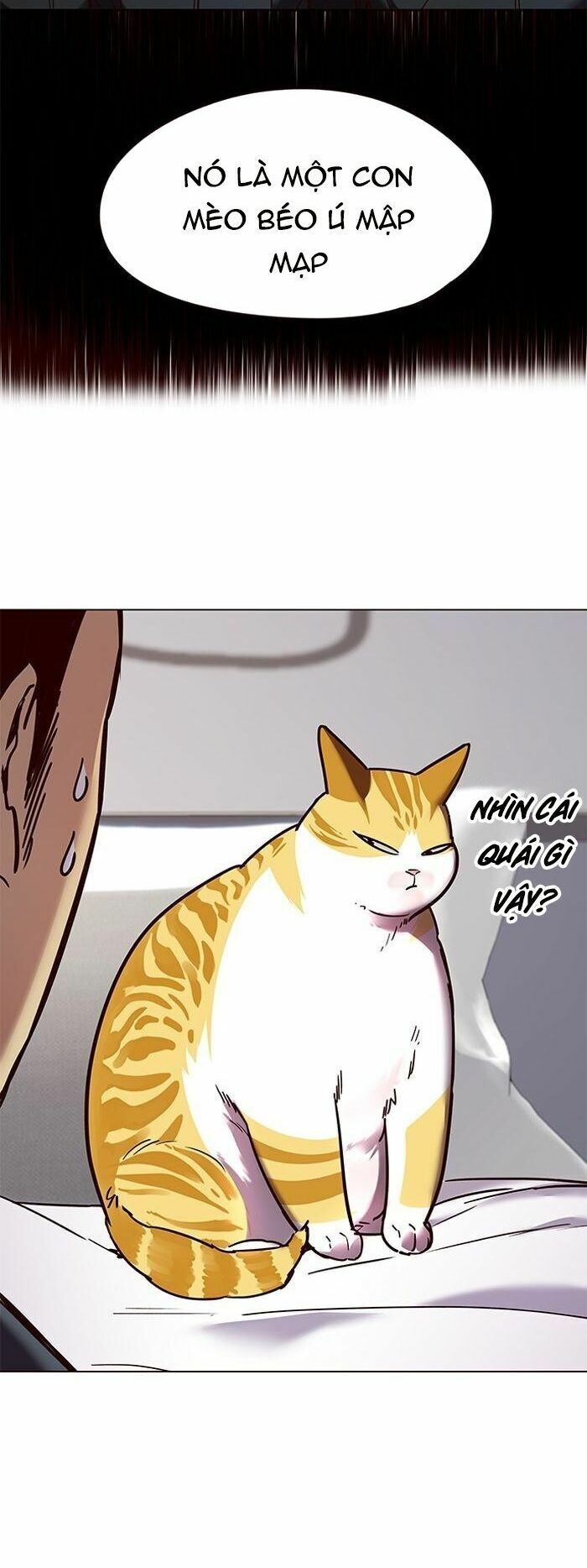 Hoá Thân Thành Mèo: Chapter 89