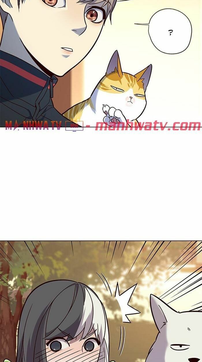Hoá Thân Thành Mèo: Chapter 89