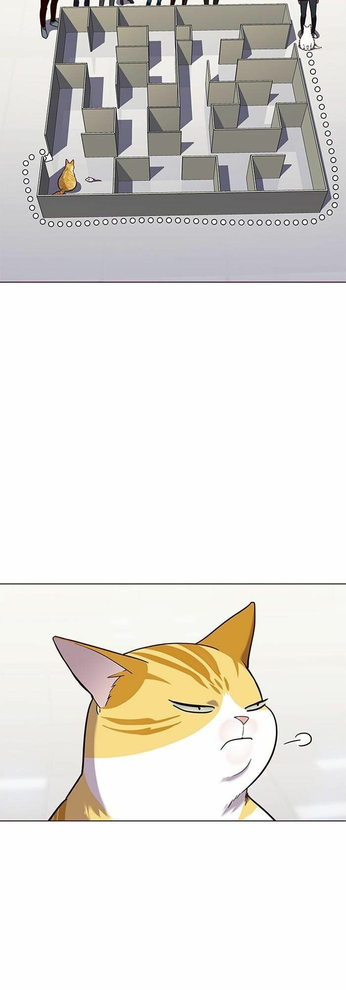 Hoá Thân Thành Mèo: Chapter 89