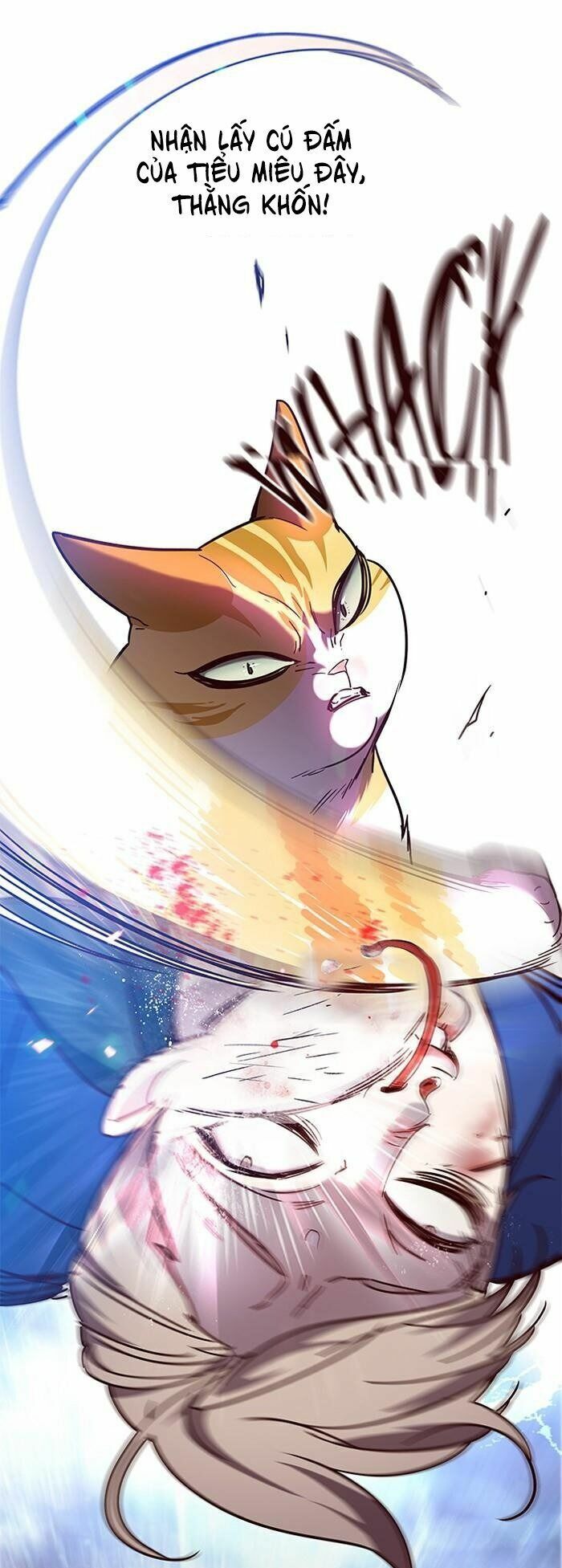 Hoá Thân Thành Mèo: Chapter 89