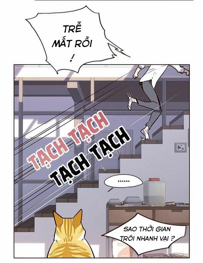 Hoá Thân Thành Mèo: Chapter 9